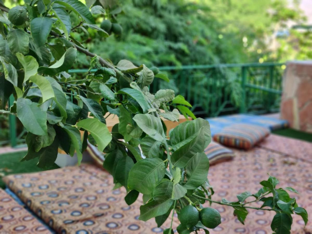 Bed and Breakfast AHLA Dive Time Eilat Exterior foto